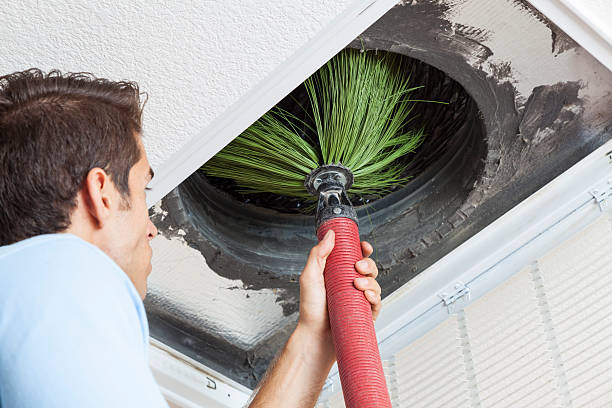 Best Local Air Duct Cleaning Services  in Citrus Springs, FL