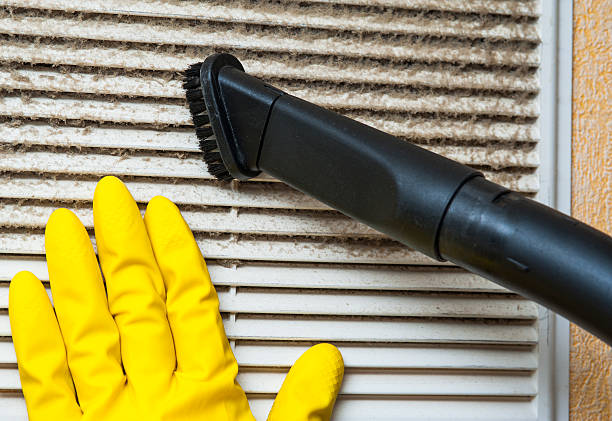 Best Ductwork Cleaning Services  in Citrus Springs, FL